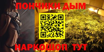 спайс Кингисепп