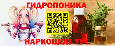 спайс Кингисепп