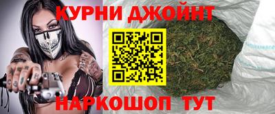 спайс Кингисепп