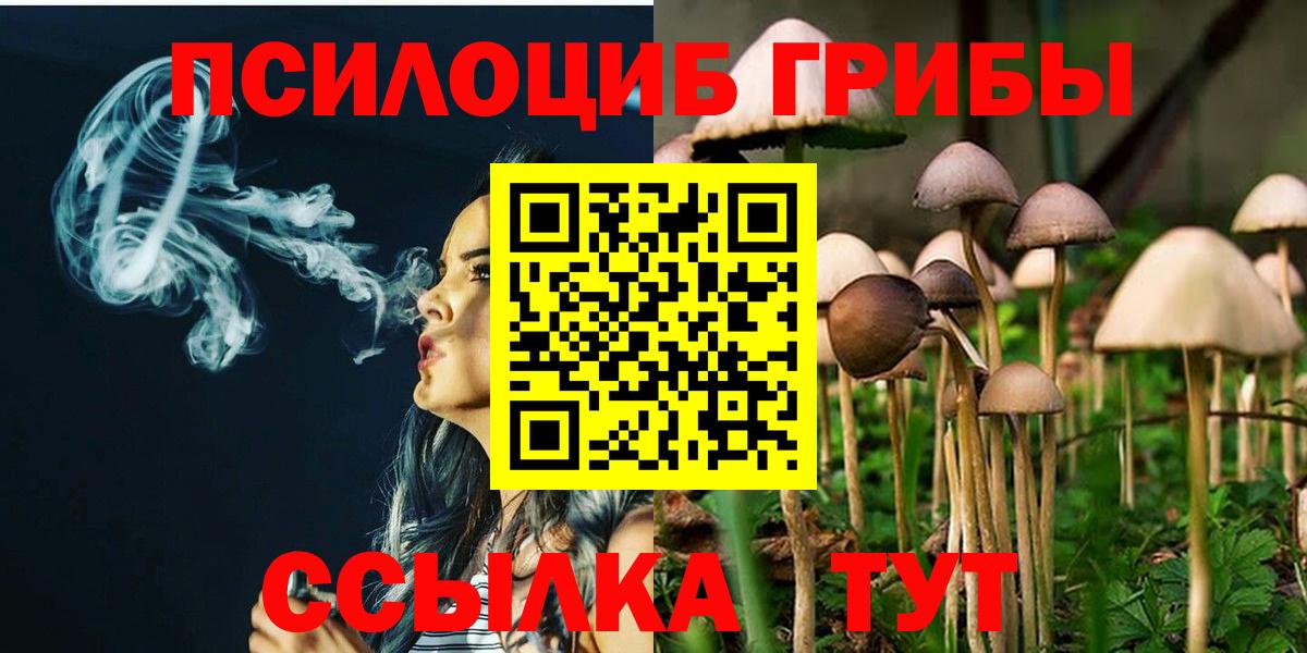 Галлюциногенные грибы прущие грибы Павлово