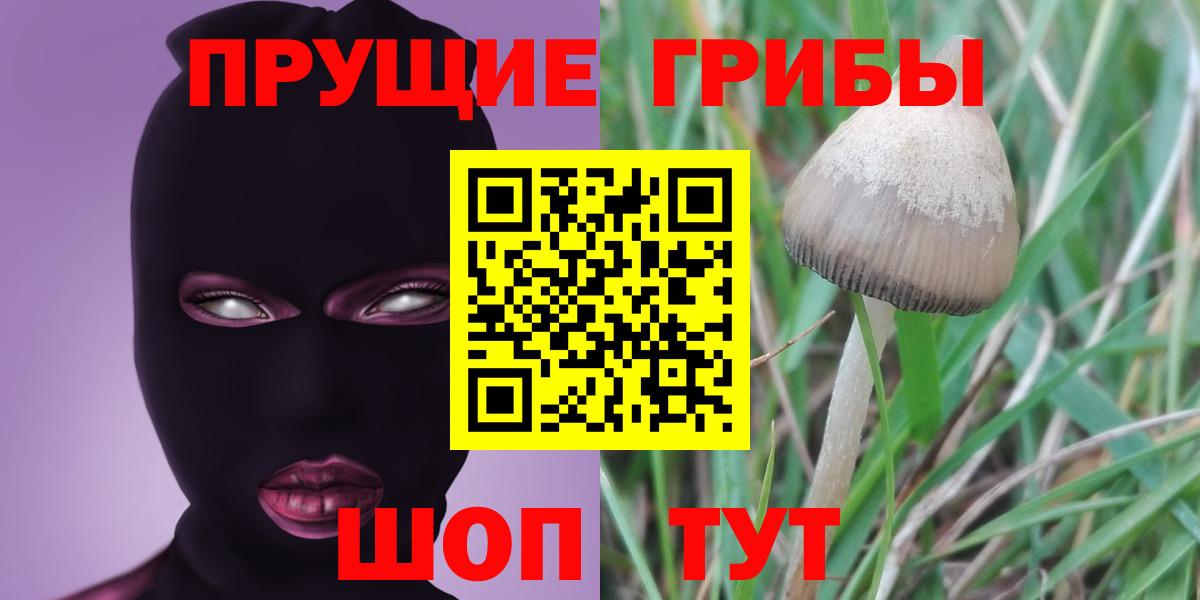 Галлюциногенные грибы GOLDEN TEACHER  цены   Павлово  Псилоцибиновые грибы Magic Shrooms  Вход с VPN 